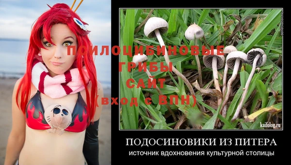 бошки Касимов