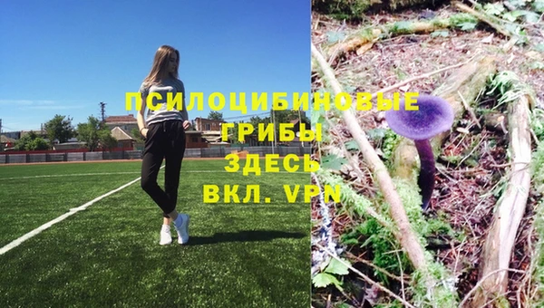 mdpv Карпинск