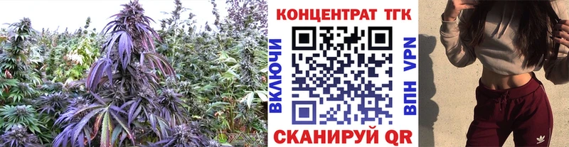 ТГК жижа Беслан