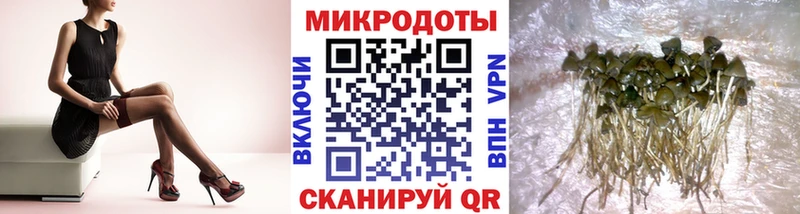 Купить Беслан Псилоцибиновые грибы прущие грибы